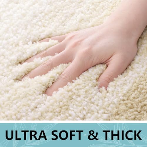 Arotive Microfiber Bathroom Rugs, Shaggy Soft Absorbent Bath Rug, 24x16