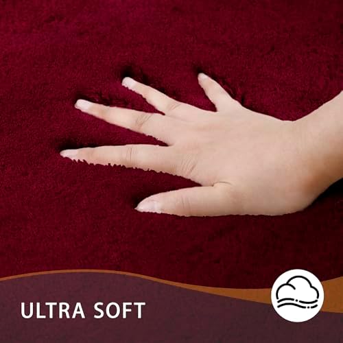 MINIDEAR Bathroom Rugs 24x17 Wine Red - Thick Memory Foam Bath Mat, Ultra Soft & Plush Fluffy, Non-Slip, Quick Dry, Absorbent Washable Floor Microfiber Mat for Tub, Home Decor Accessories
