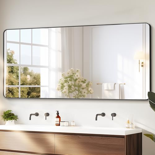 Delma Bathroom Vanity Mirror, Black Framed Mirror for Over Sink, 30x60