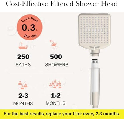 Homlord Filtered Shower Head with Handheld, High Pressure 6 Mode Showerhead