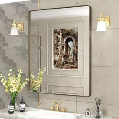 30x36 Inch Brushed Bronze Bathroom Wall Mirror