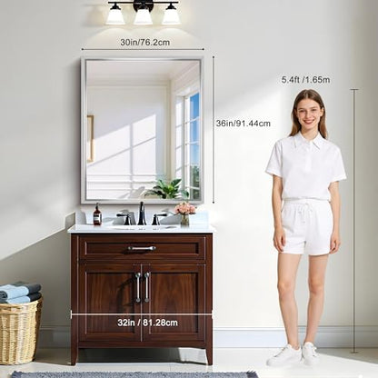 CIRCUMI 30"x36" Brushed Silver Bathroom Mirror, Rectangular Vanity Mirror