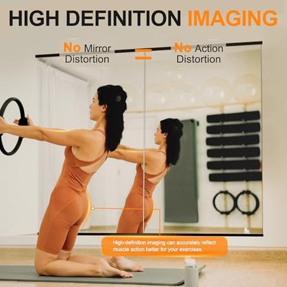 Delma Home Gym Mirror, 48''x24''x2PCS, Large Full Body