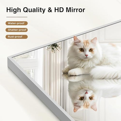 COFENY 40x48inch Silver Bathroom Mirror, Silver Rectangle Mirror with Frame, Large Rectangular Wall Mirrors for Bathroom, Living Room, Hair Salon, Big Farmhouse Mirror Hang Horizontal/Vertical