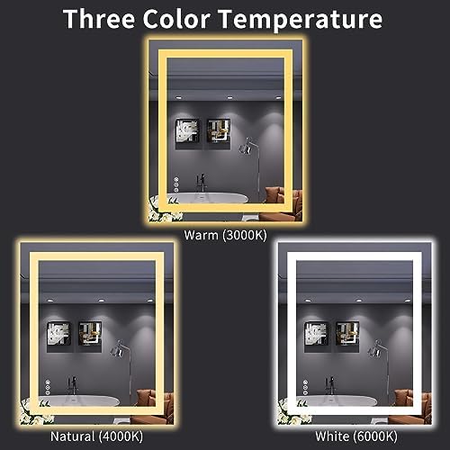 LOAAO 30X36 LED Bathroom Mirror with Lights, UL Listed