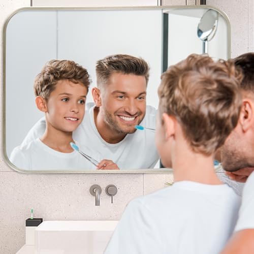 24x32 Inch Brushed Nickel Bathroom Mirror, Framed Rectangle Mirror with Rounded Corner, Brushed Mirror, Silver Bathroom Mirror for Over Sink, Vanity, Living Room, Bedroom, Horizontal/Vertical