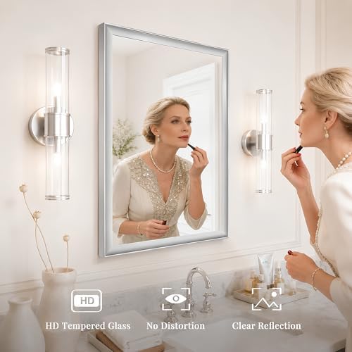 Brushed Nickel Bathroom Mirrors for Over Sink 22x30 Inch
