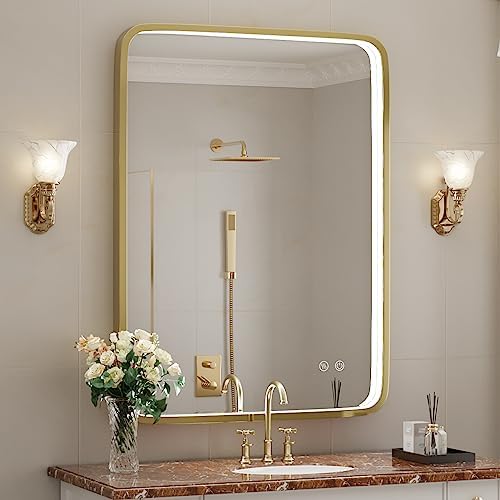 LED Bathroom Mirror with Light,Gold Frame,24x32 Inch