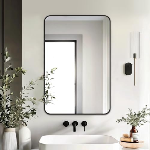 Delma Bathroom Vanity Mirror, Black Framed Mirror for Over Sink, 30x20
