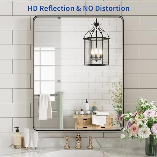 WEER Black Bathroom Vanity Mirror 20X28 Inch