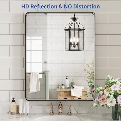 WEER Black Bathroom Vanity Mirror 20X28 Inch