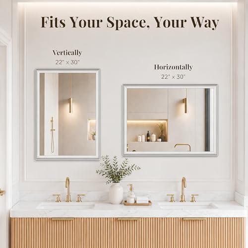 Brushed Nickel Bathroom Mirrors for Over Sink 22x30 Inch