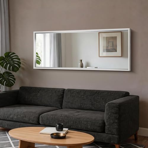 CIRCUMI 60"x24" Brushed Silver Bathroom Mirror, Double Sink Vanity Mirror