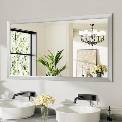 Briivue Bathroom Wall Mirror, Silver Brushed Nickel Metal Frame, 55x30 Inch