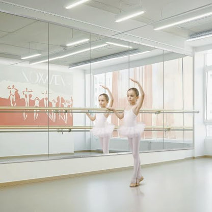 Home Gym Mirror for Wall, 70x24x2PCS Frameless Full Length Mirror, Silver