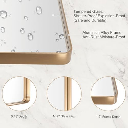 LOAAO 20"X30" Gold Bathroom Mirror