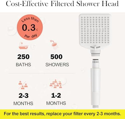Homlord Filtered Shower Head with Handheld, High Pressure 6 Mode Showerhead