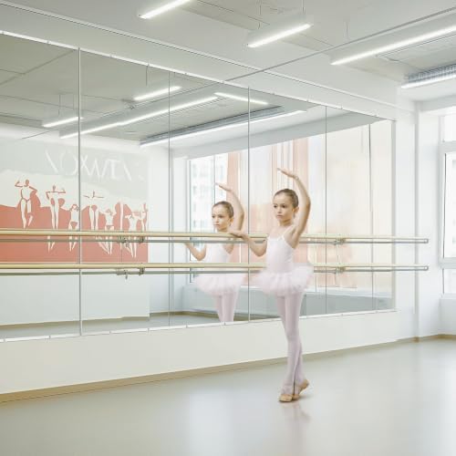 Home Gym Mirror for Wall, 56x28x2PCS Frameless Full Length Mirror, Silver