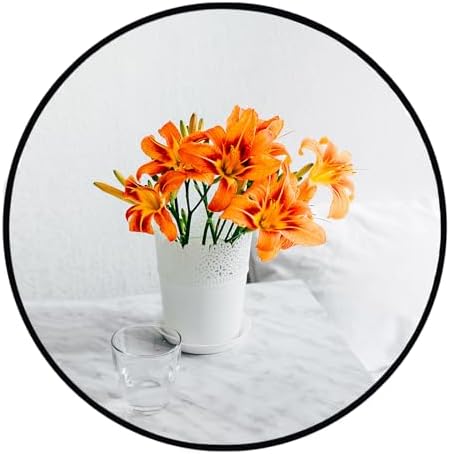Oruii Small Round Mirror, 18 inch Circle Mirror, Matte Black Metal Frame