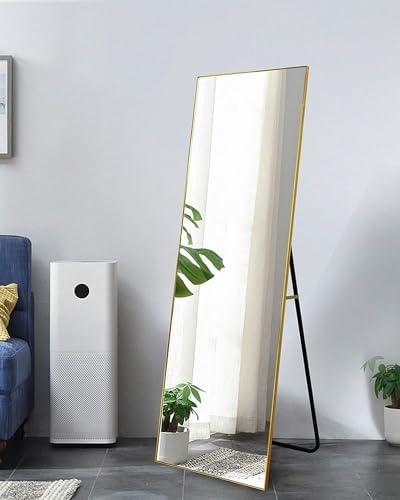 Dewfig Mirror Full Length, 64"X21" Floor Mirror, Rectangle Shape, Gold