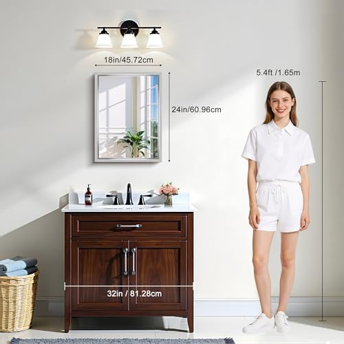 CIRCUMI 18"x24" Brushed Silver Bathroom Mirror, Rectangular Vanity Mirror