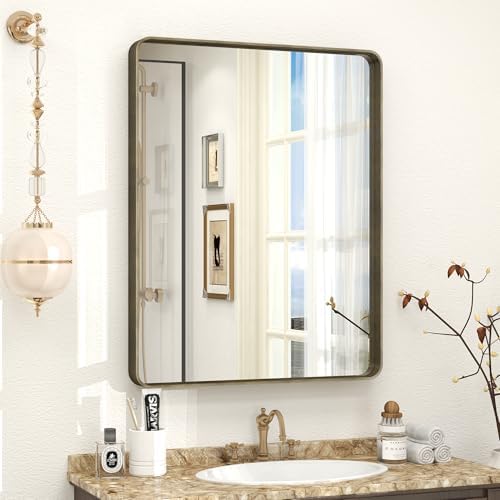 24x30 Inch Brushed Bronze Bathroom Mirror for Wall