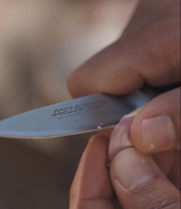 Arcos Forged Paring Knife 4 Inch Stainless Steel. Sharp Kitchen Knife for Peeling Fruits and Vegetables. Ergonomic Polyoxymethylene Handle and 100mm Blade. Series Manhattan. Color Black