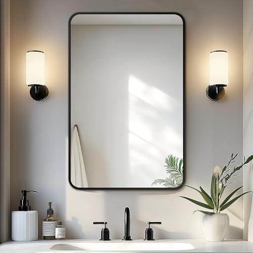 Delma Bathroom Vanity Mirror, Black Framed Mirror for Over Sink, 30x20