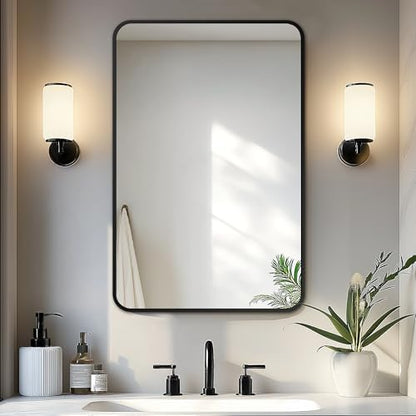 Delma Bathroom Vanity Mirror, Black Framed Mirror for Over Sink, 30x20