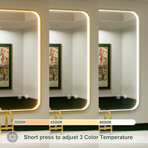 20x28 Inch Gold LED Bathroom Mirror with Lights,3000K/4500K/6000K
