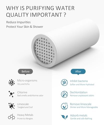 12 Inch Shower Head with Filters Rain Shower Head with Handheld Spray Combo