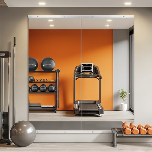 Home Gym Mirror for Wall, 56x28x2PCS Frameless Full Length Mirror, Silver