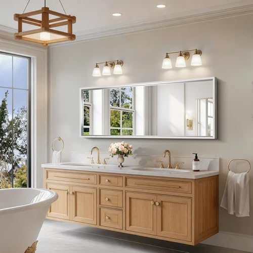 CIRCUMI 60"x24" Brushed Silver Bathroom Mirror, Double Sink Vanity Mirror
