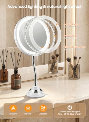 10x Makeup Mirror with Lights, Magnifying Mirror 3 Light Modes Silver