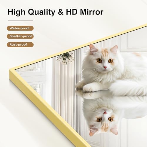 COFENY 48x24In Gold Bathroom Mirror for Wall, Brushed Gold Rectangle Mirrors with Metal Frame, Bathroom Rectangular Mirror Modern Wall Mirror for Bedroom Living Room, Hangs Horizontal or Vertical