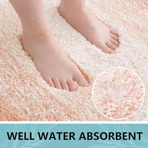 Arotive Microfiber Bathroom Rugs, Shaggy Soft Absorbent Bath Rug, 44x24