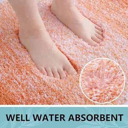 Arotive Microfiber Bathroom Rugs, Shaggy Soft Absorbent Bath Rug, 30x20