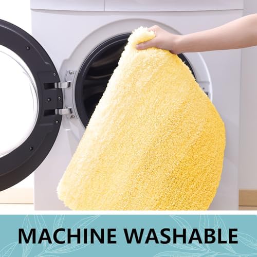 Arotive Microfiber Bathroom Rugs, Shaggy Soft Absorbent Bath Rug, 36x24