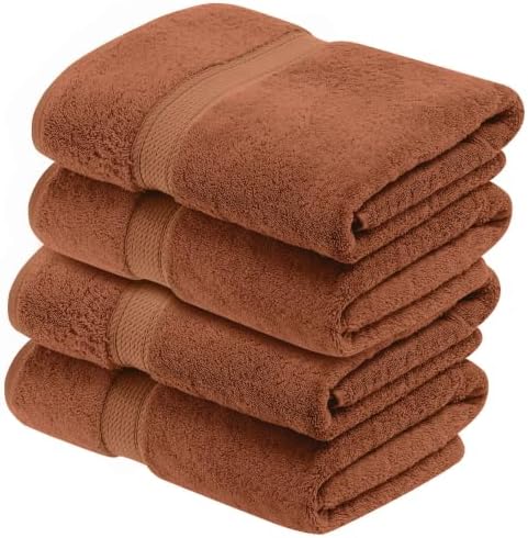 Superior Egyptian Cotton Plush & Absorbent, Bath Towel Set of 4, Rust