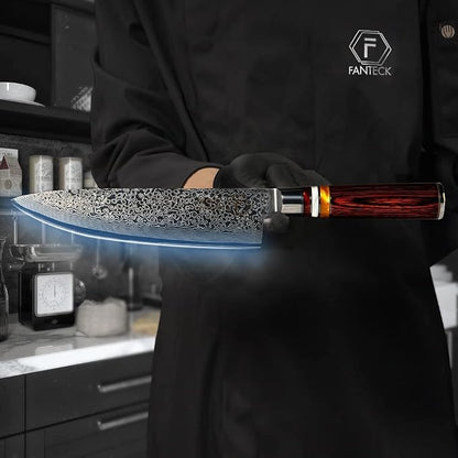 Fanteck Chef Knife 8 Inch, Japanese Damascus Kitchen Knife, Vg10 67 Layer High Carbon Stainless Steel Professional Sharp Chef’s Knife,Pakkawood Handle,Gift box,Plastic sheath& Sharpener