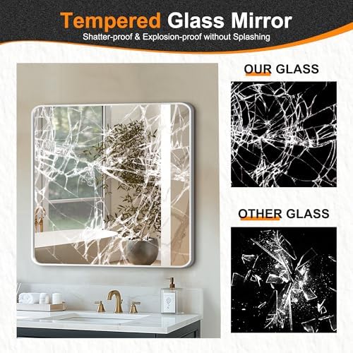 Delma Bathroom Vanity Mirror, Silver Framed Mirror for Over Sink, 30x30