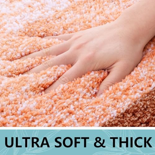Arotive Microfiber Bathroom Rugs, Shaggy Soft Absorbent Bath Rug, 44x24