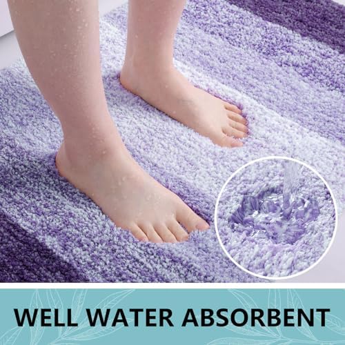 Arotive Microfiber Bathroom Rugs, Shaggy Soft Absorbent Bath Rug, 45x27