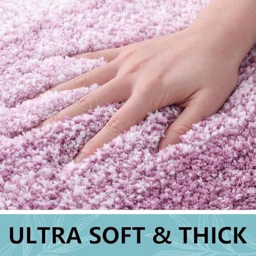 Arotive Microfiber Bathroom Rugs, Shaggy Soft Absorbent Bath Rug, 36x24