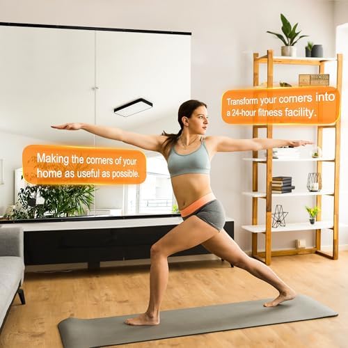 Delma Home Gym Mirror, 48''x24''x2PCS, Large Full Body