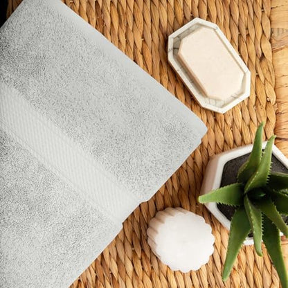 Superior Egyptian Cotton Ultra Plush & Absorbent, 10 Piece Set, Silver