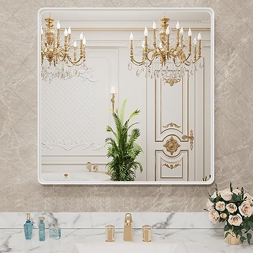 LOAAO 30x30 Inch White Metal Framed Bathroom Mirror for Wall
