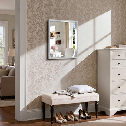CIRCUMI 18"x24" Brushed Silver Bathroom Mirror, Rectangular Vanity Mirror