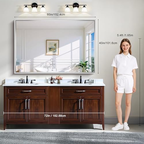 CIRCUMI 60"x40" Brushed Silver Bathroom Mirror, Double Sink Vanity Mirror