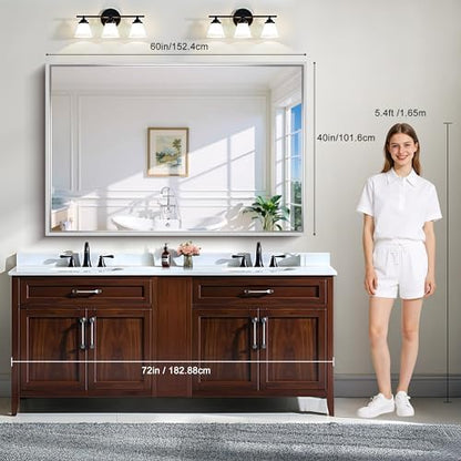 CIRCUMI 60"x40" Brushed Silver Bathroom Mirror, Double Sink Vanity Mirror